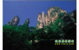 網(wǎng)絡(luò)熱門純玩游：張家界、天子山、袁家界、楊家界 自助三日游