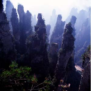 【純玩拼團線路】下午班：鳳凰古城、張家界、天子山三晚四日游