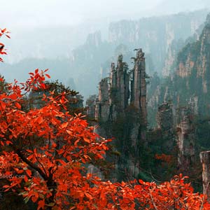 休閑自駕E線：張家界、袁家界、天子山、寶峰湖、鳳凰古城、沱江泛舟四晚五日游