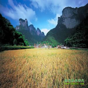 張家界往返純玩散拼：矮寨大橋、德夯苗寨、鳳凰古城、芙蓉鎮(zhèn)二日游