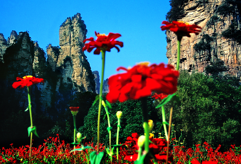LF線：張家界國家森林公園、猛洞河漂流、鳳凰古城純玩自助五日游
